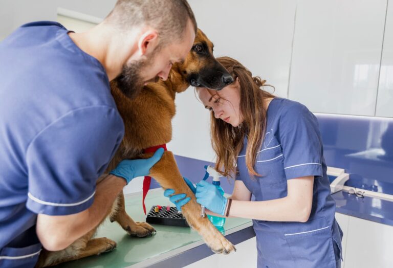 Mejor centro veterinario en Marbella